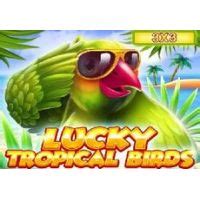 Jogar Lucky Tropical Birds 3x3 com Dinheiro Real